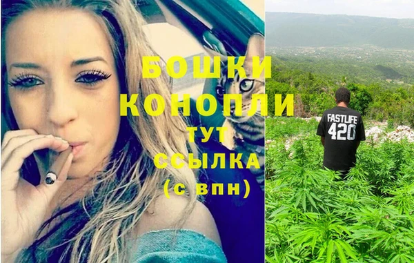 эйфоретик Белокуриха
