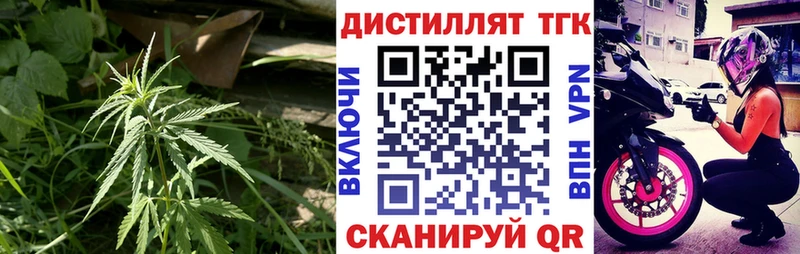 ТГК концентрат  Обь 