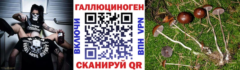 Галлюциногенные грибы прущие грибы  купить  сайты  Обь 
